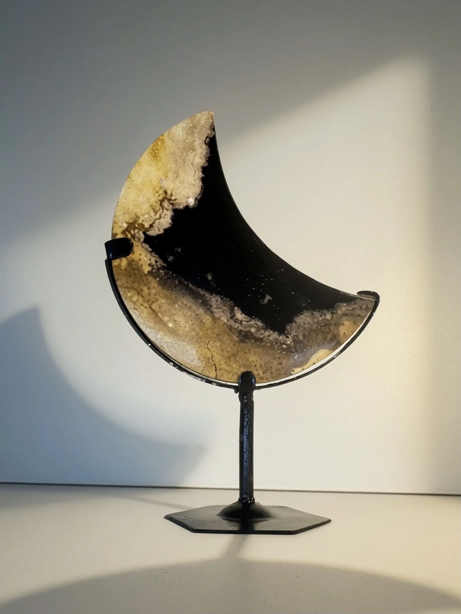 Palm Root ⟡ MESIAC Mini Na Stojane (II.) – Obrázok 2