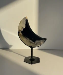 Palm Root ⟡ MESIAC Mini Na Stojane (II.) – Obrázok 3