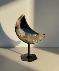 Palm Root ⟡ MESIAC Mini Na Stojane (I.) – Obrázok 3